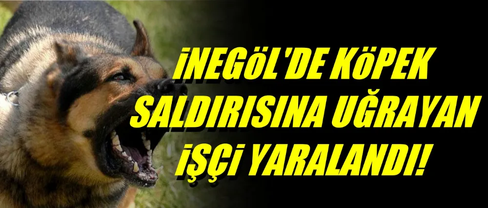 Çay molasında köpek saldırısına uğradı!