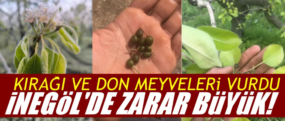 İnegöl