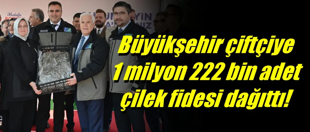 Büyükşehir’den çiftçiye 1 milyon 222 bin adet çilek fidesi
