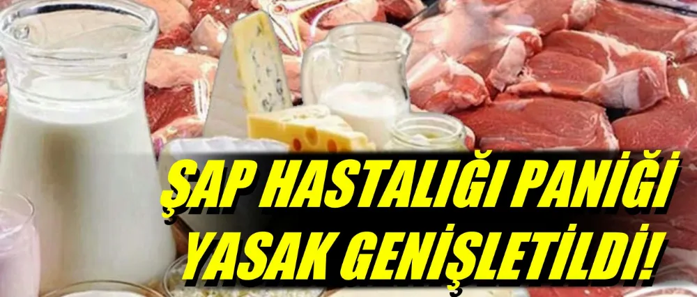Şap hastalığı paniği! Yasak genişletildi..