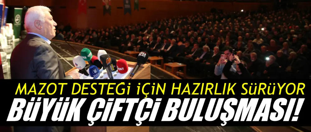 Büyükşehir