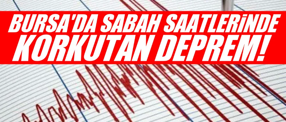 Bursa