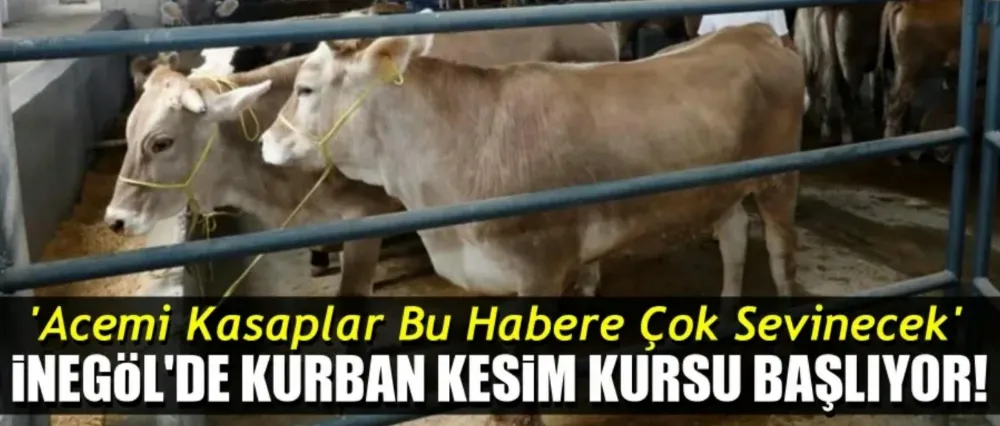 Kurban Kesim Kursu Kayıtları Başladı