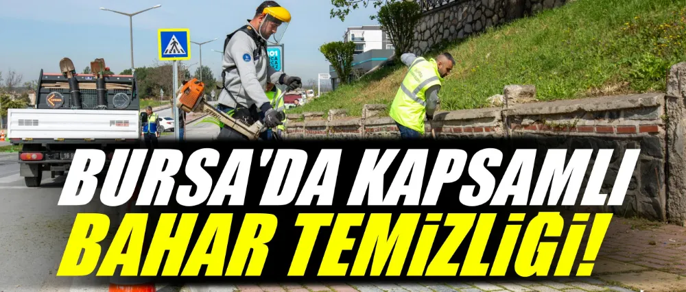 Bursa
