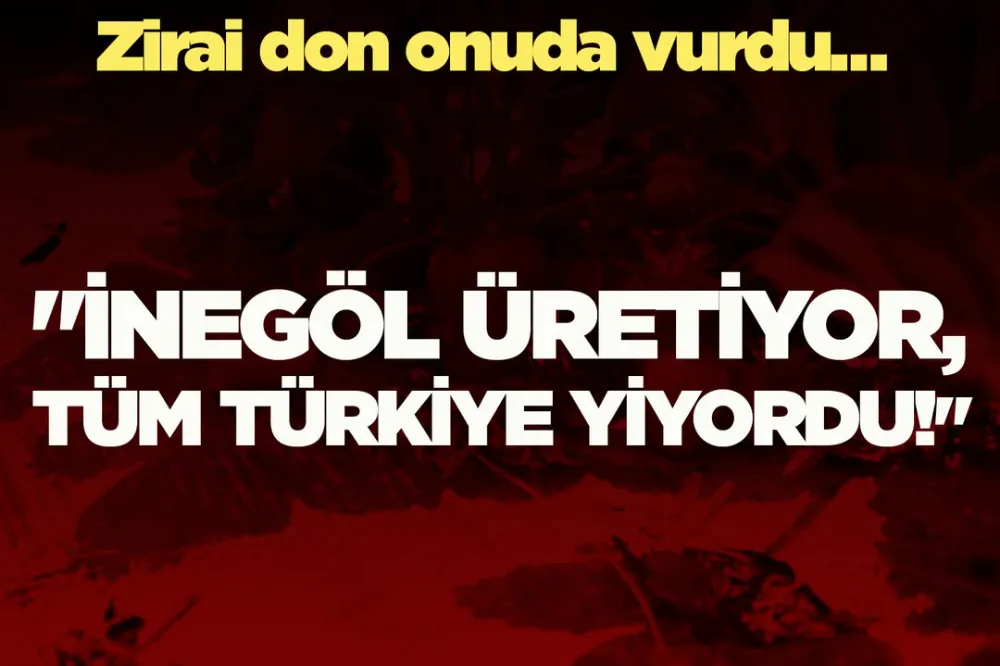 İnegöl