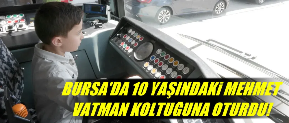 Bursa