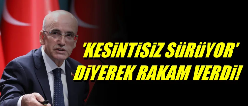 Bakan Şimşek