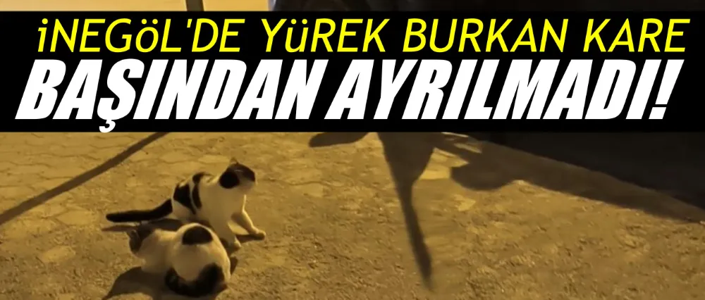 İnegöl