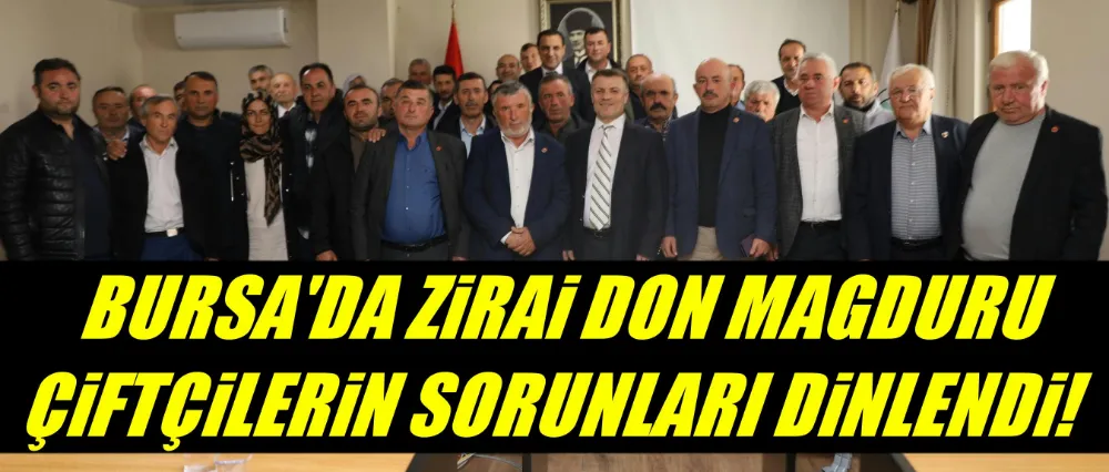 Bursa