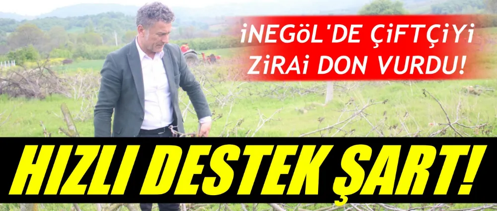 Orhan Sarıbal: “İnegöl’de Tarımsal Don Çiftçiyi Vurdu, Hızlı Destek Şart”