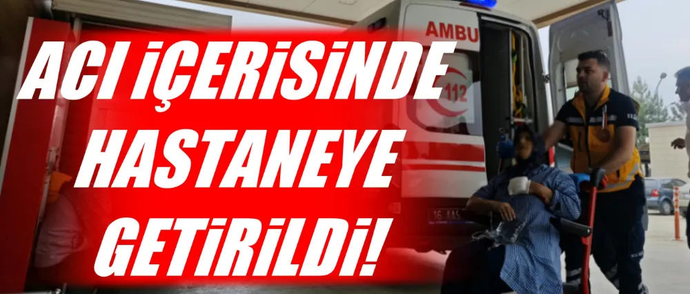 Acı içerisinde hastaneye getirildi!