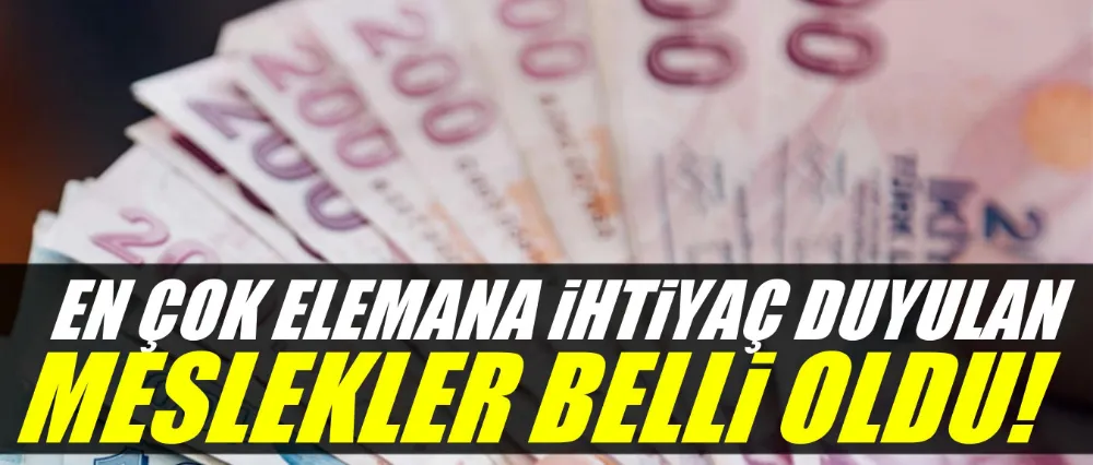 İŞKUR MERAK EDİLEN VERİYİ AÇIKLADI