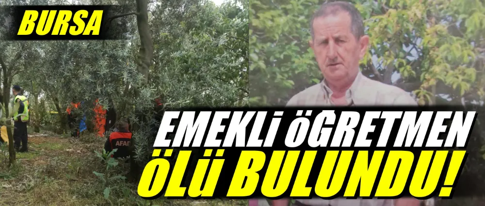 Heryerde aranan emekli öğretmenden acı haber! Zeytinlikte ölü olarak bulundu...