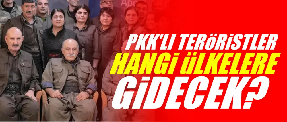 PKK’lı teröristler hangi ülkelere gidecek? AK Partili Şamil Tayyar yanıtladı