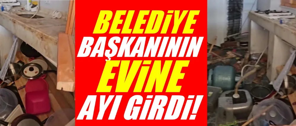 Yayla evine ayı girdi!