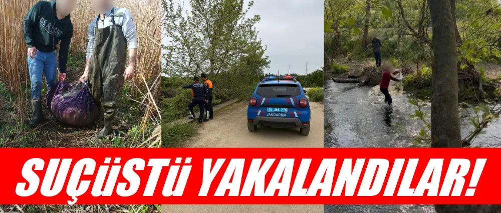 İznik Gölü’nde Usulsüz Avcılığa Geçit Yok: Jandarmadan Sıkı Denetim