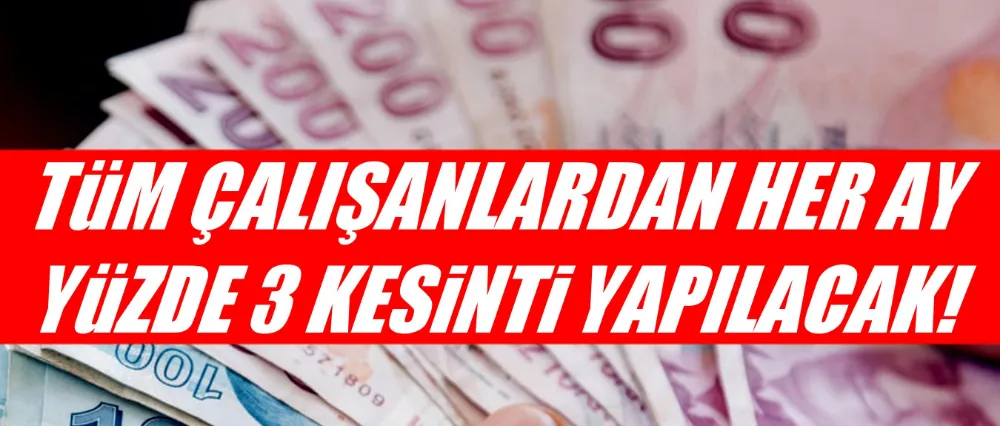 Tamamlayıcı emeklilik sistemiyle ilgili detaylar belli oluyor!