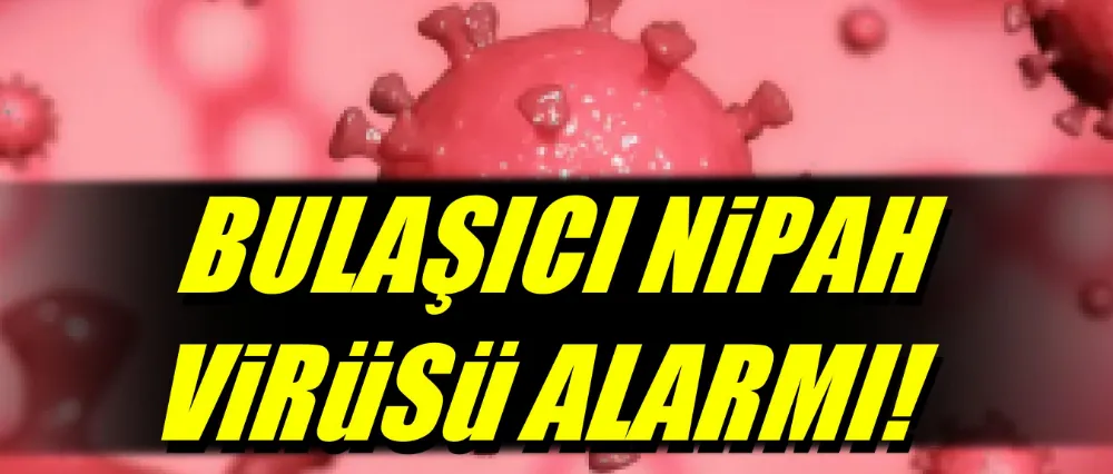 Bulaşıcı nipah virüsü alarmı!