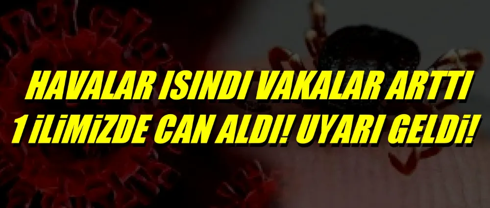 KENE YAPIŞMASI VAKALARINA DİKKAT!