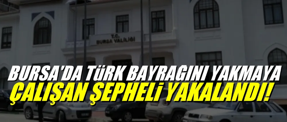 Bursa