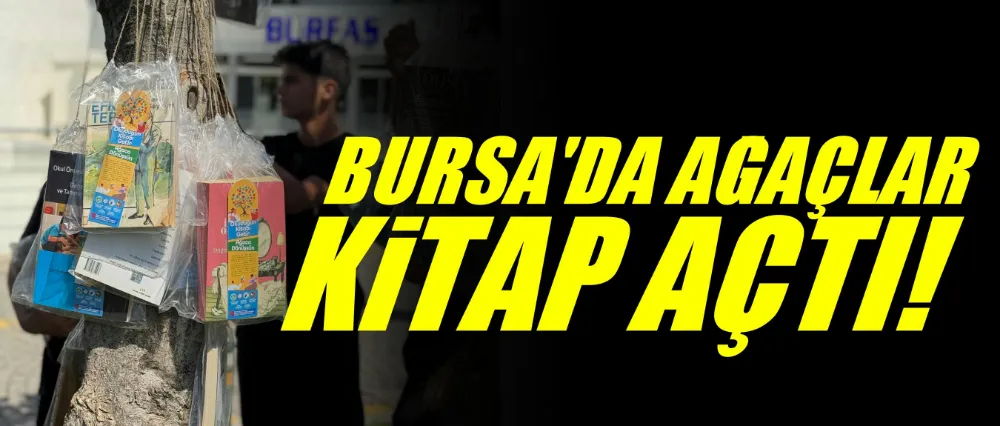 Bursa’da ağaçlar ‘kitap’ açtı
