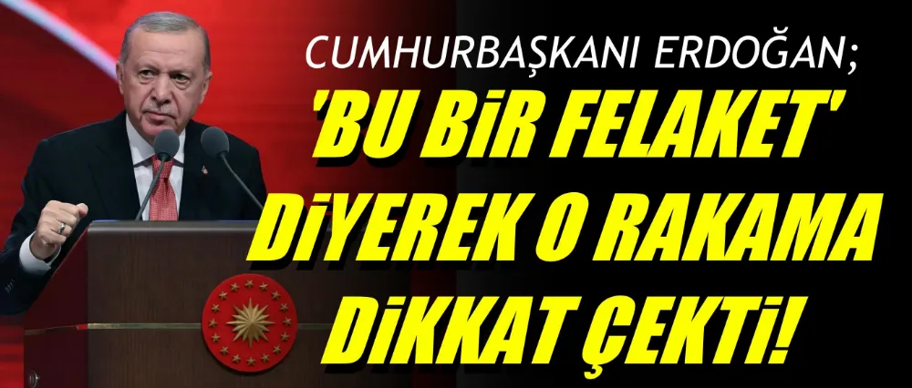 Doğurganlık hızı tarihimizde ilk kez 1,48