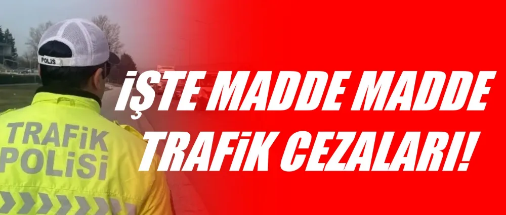 Trafik cezaları artırılacak..