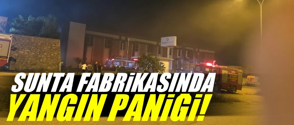 Sunta fabrikasında yangın paniği!