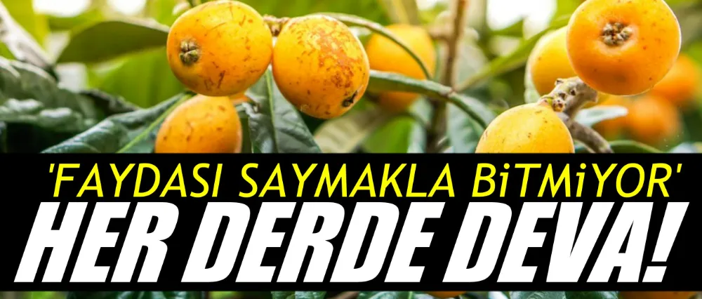 Faydası saymakla bitmiyor!