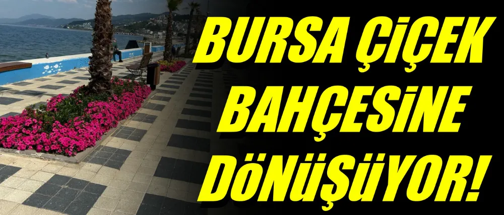 Bursa çiçek bahçesine dönüşüyor!
