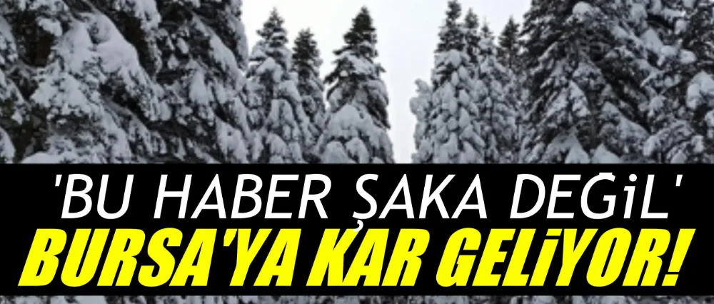Bursa