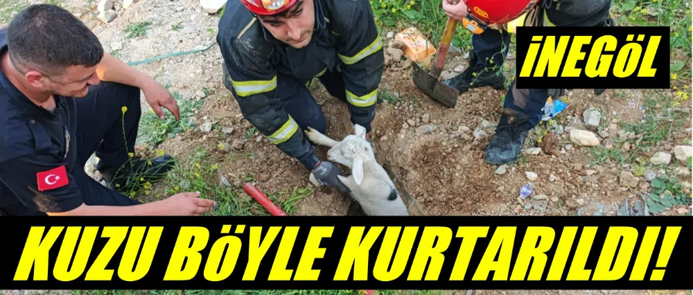 Mahsur kalan yavru kuzuyu itfaiye ekipleri kurtardı!