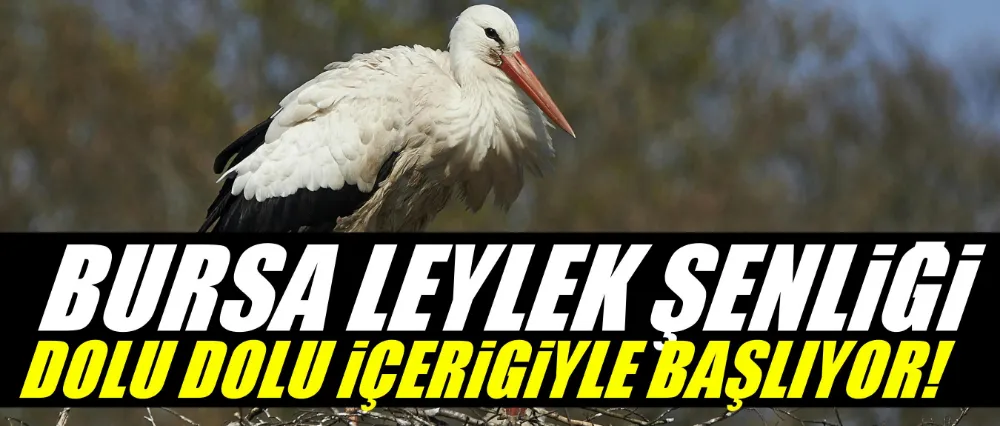 Bursa Leylek Şenliği, dolu dolu içeriğiyle başlıyor
