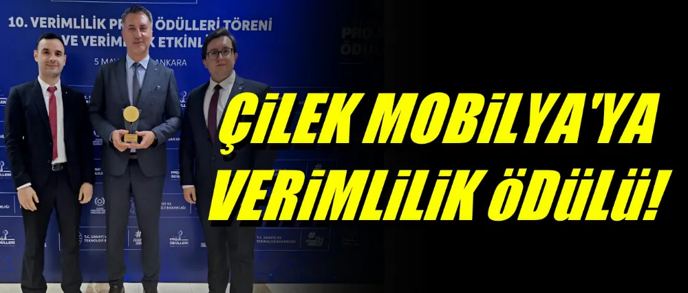 ÇİLEK MOBİLYA