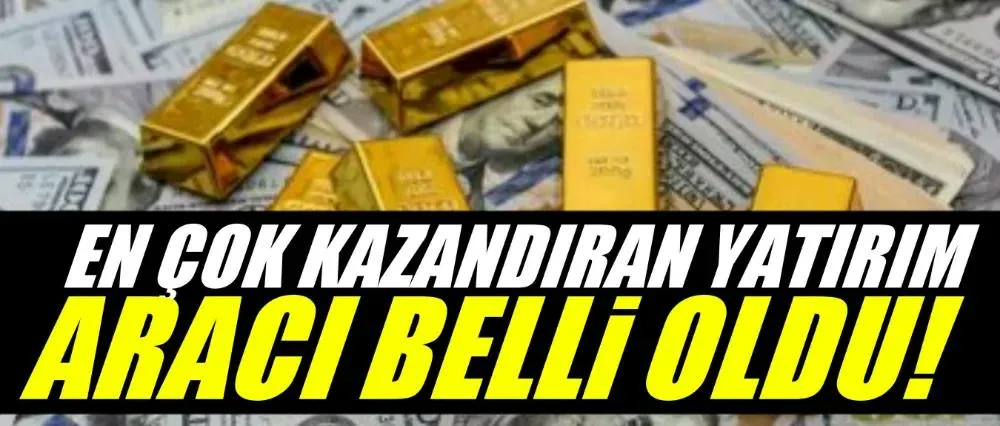 TÜİK VERİLERİ AÇIKLADI! İŞTE EN ÇOK KAZANDIRAN YATIRIM ARAÇLARI..
