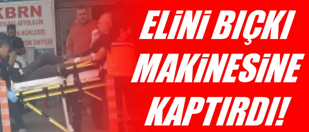 Elini bıçkı makinesine kaptırdı!
