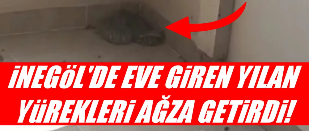 İnegöl