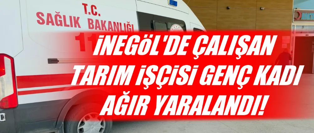 İnegöl