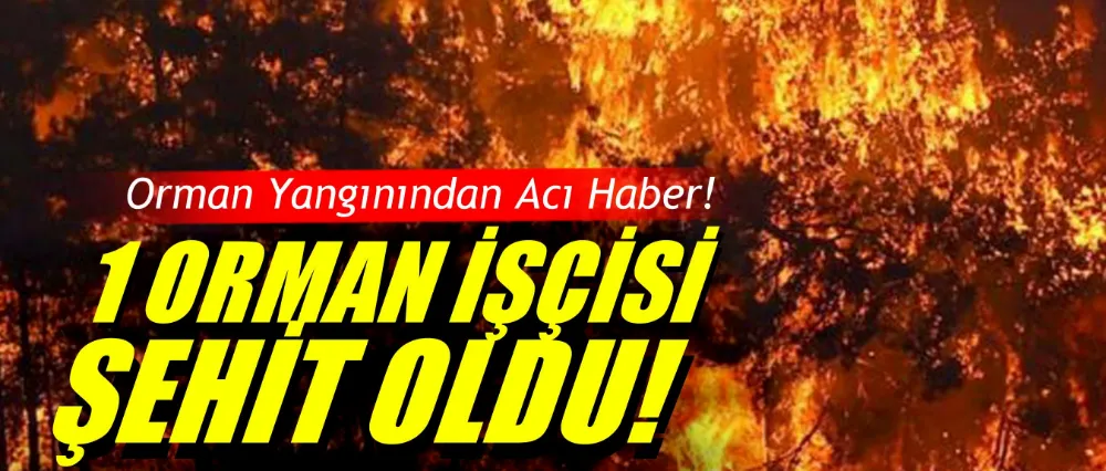 Orman yangınından acı haber!