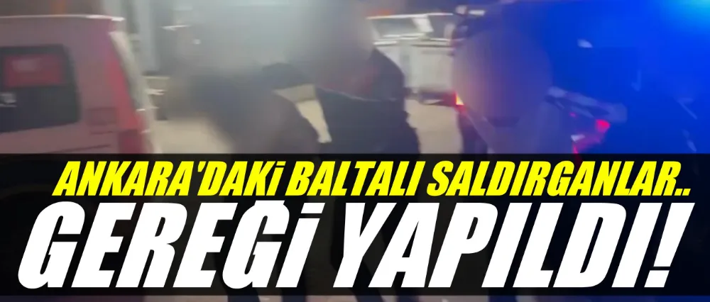 Baltalı saldırganların gereği yapıldı!