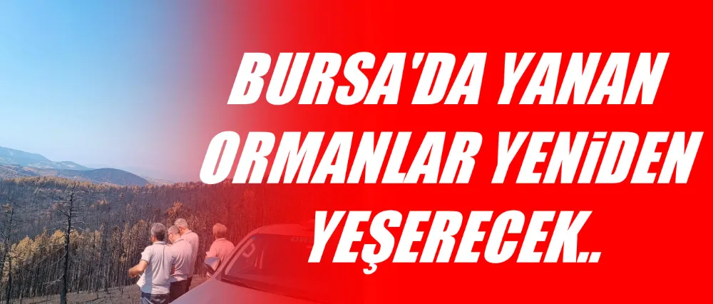 Bursa