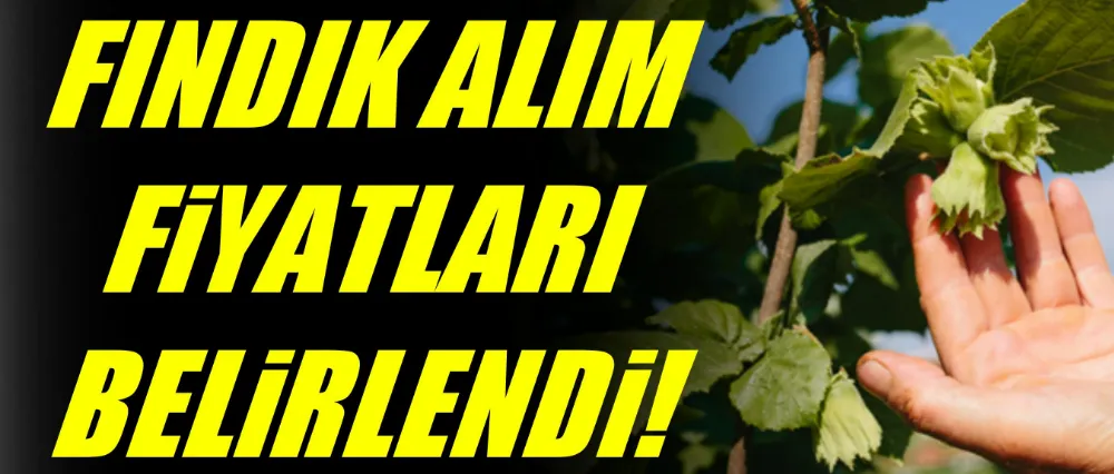FINDIK ALIM FİYATLARI BELİRLENDİ!